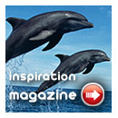 Inspiration Magazine